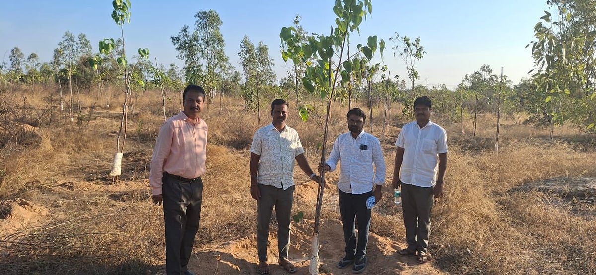 ರಾಯಚೂರು: ಯರಗೇರಾ ಸಸ್ಯ ಕ್ಷೇತ್ರಕ್ಕೆ ವನಸಿರಿ ತಂಡದ ಸದಸ್ಯರ ಭೇಟಿ