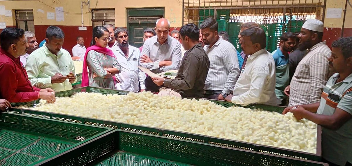 ಶಿಡ್ಲಘಟ್ಟ ರೇಷ್ಮೆಗೂಡು ಮಾರುಕಟ್ಟೆಗೆ ಅಧಿಕಾರಿಗಳ ತಂಡ ಭೇಟಿ 