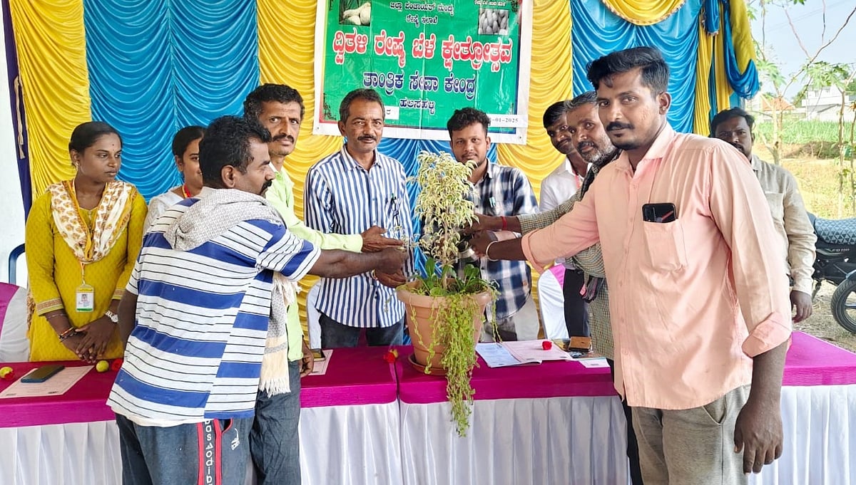 ಚೆನ್ನೀಪುರ: ರೇಷ್ಮೆ ಬೆಳೆ ಕ್ಷೇತ್ರೋತ್ಸವ