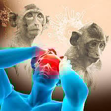 ಬಾಳೆಹೊನ್ನೂರು | ಮತ್ತೆ ಇಬ್ಬರಿಗೆ ಕೆಎಫ್‌ಡಿ ಸೋಂಕು