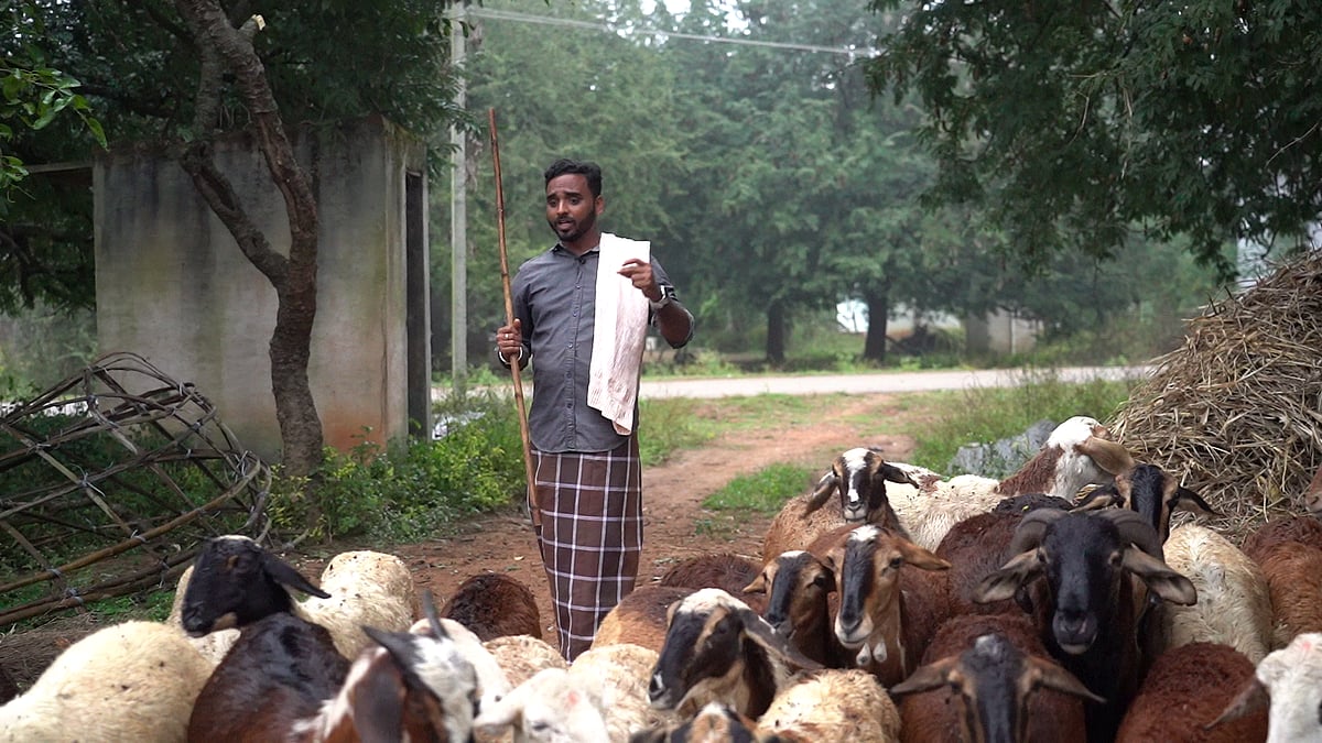 ಜನಪದ: ಕಾಡುಗೊಲ್ಲರ ಮೋಹನ ರಾಗ..