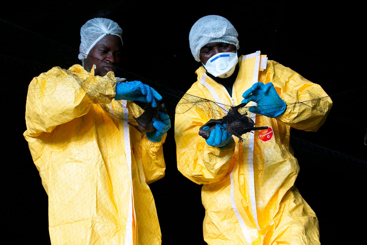 ಉಗಾಂಡ | ಎಬೋಲಾ ಪ್ರಕರಣಗಳ ಸಂಖ್ಯೆ 9ಕ್ಕೆ ಏರಿಕೆ; 265 ಮಂದಿ ಕ್ವಾರಂಟೈನ್‌