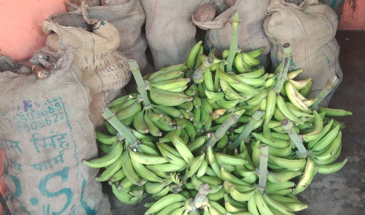ನರಸಿಂಹರಾಜಪುರ: ನೇಂದ್ರ ಬಾಳೆಕಾಯಿಗೆ ಬಂಪರ್‌ ಬೆಲೆ 