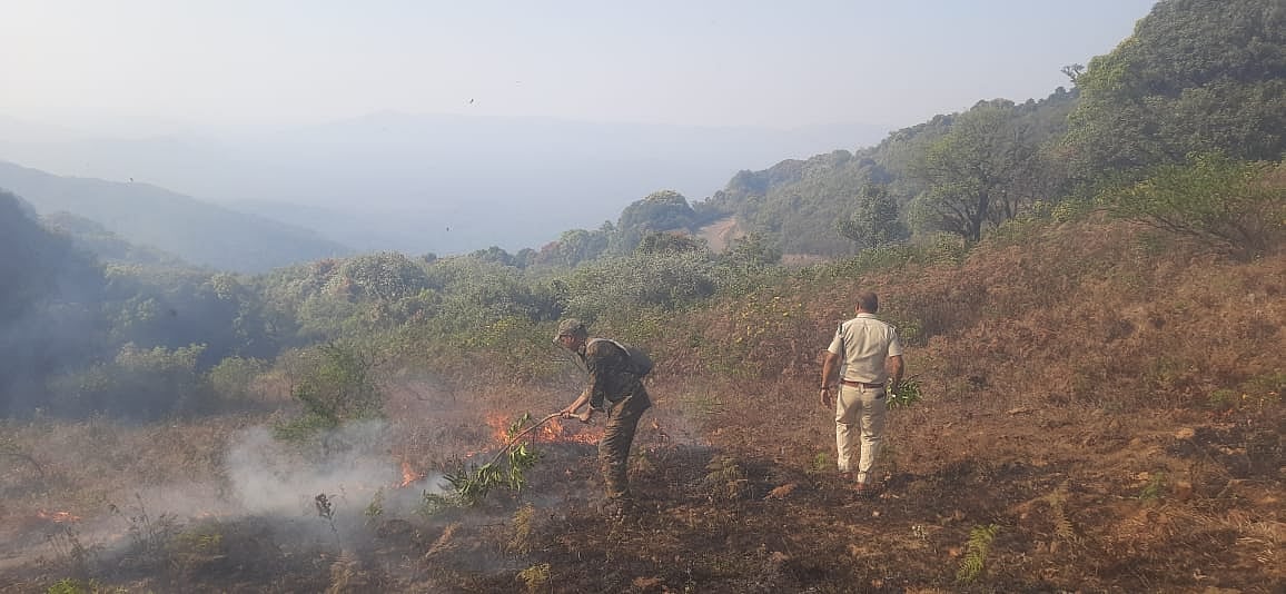 ಚಿಕ್ಕಮಗಳೂರು: ಮುಳ್ಳಯ್ಯನಗಿರಿಯಲ್ಲಿ ಕಾಳ್ಗಿಚ್ಚು