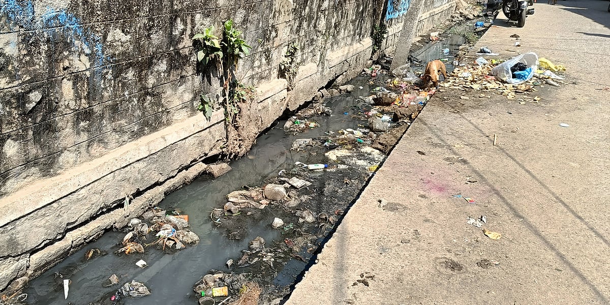 ಕವಿತಾಳ | ಸೊಳ್ಳೆಗಳ ಹಾವಳಿ: ಫಾಗಿಂಗ್‌ಗೆ ಒತ್ತಾಯ