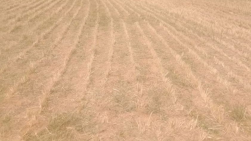 ಉತ್ತರ ಕನ್ನಡ: ಅನಧಿಕೃತ ಆಸ್ತಿಗೆ ಬಿ–ಖಾತಾ ಭಾಗ್ಯ