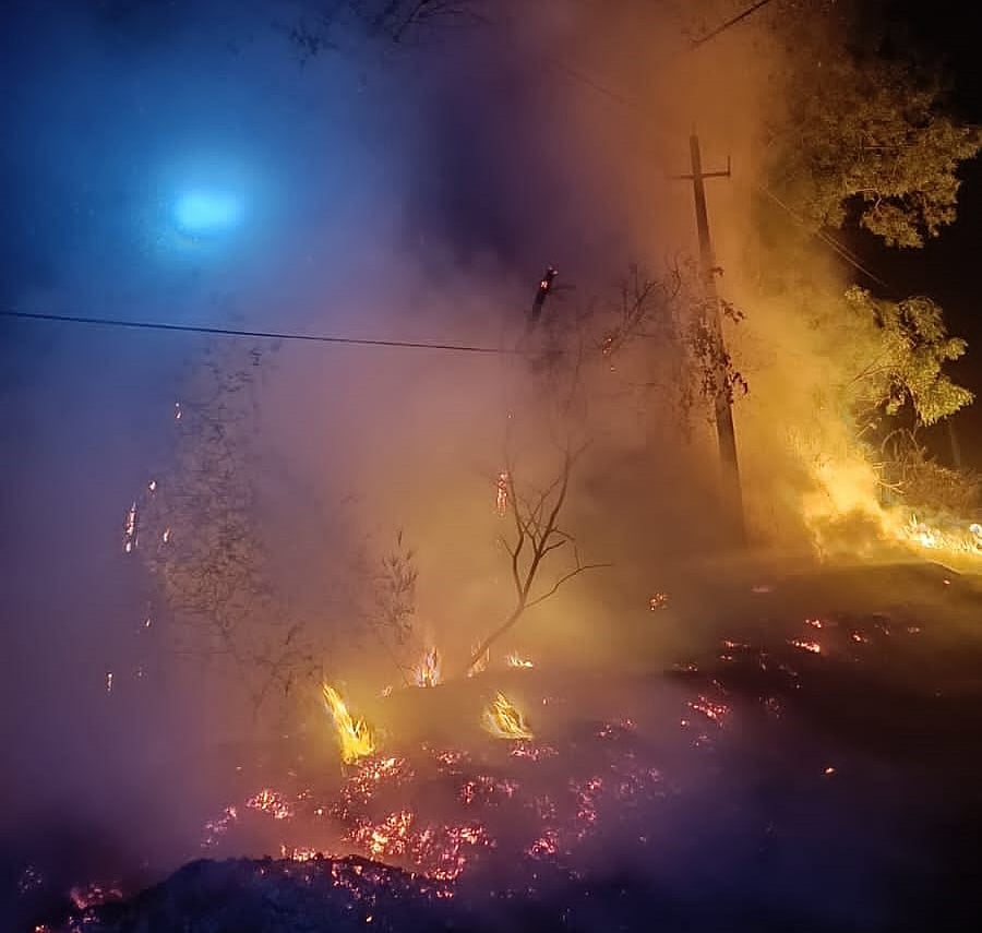 ಬಿದಿರು ಪೆಳೆ ಬೆಂಕಿಗೆ ಆಹುತಿ: ವಿದ್ಯುತ್ ಸಂಪರ್ಕ ಸ್ಥಗಿತ