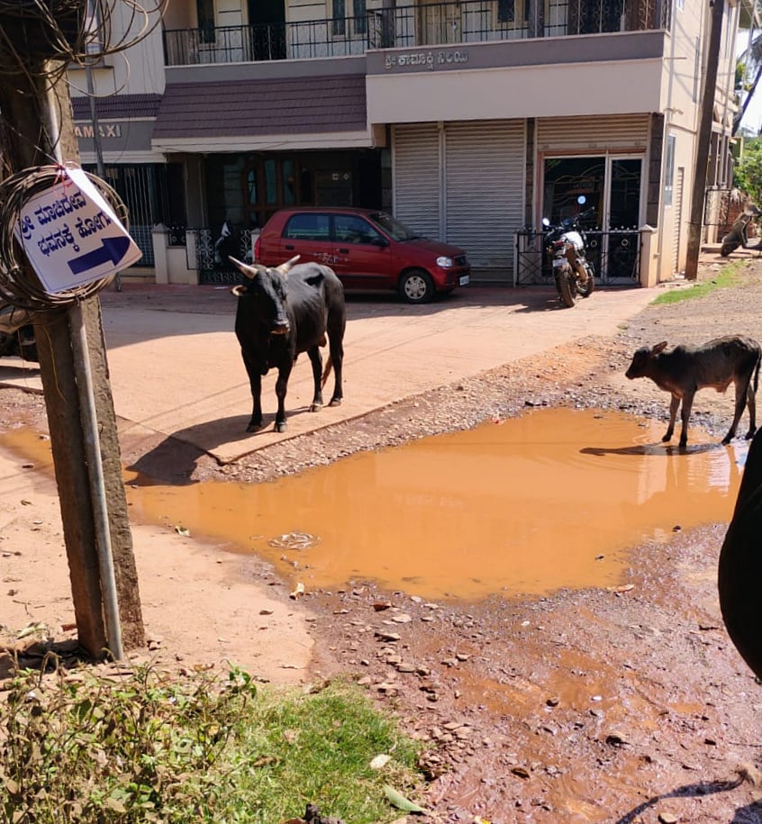 ಶಿರಸಿ | ಕುಡಿಯುವ ನೀರು: ಸೋರಿಕೆ ಜೋರು