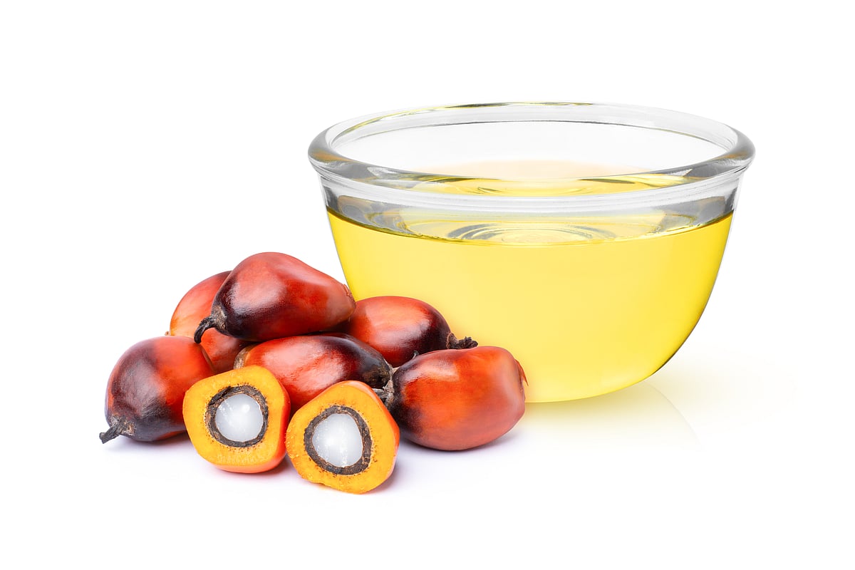 Palm Oil | ತಾಳೆ ಎಣ್ಣೆ ದರ ಏರಿಕೆ