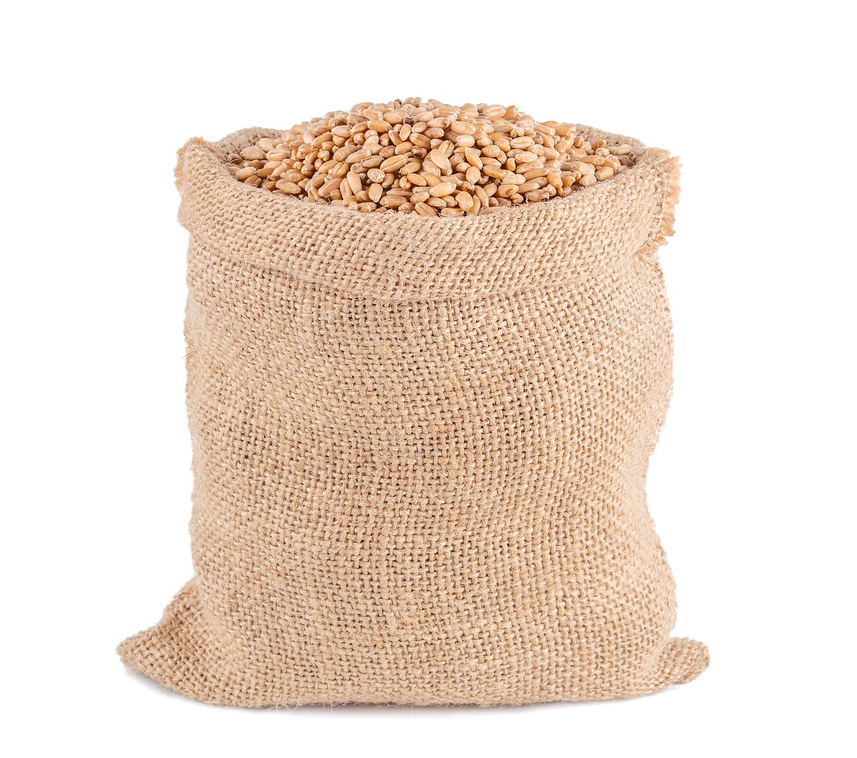 ಗೋಧಿ ಬಂಪರ್‌ ಉತ್ಪಾದನೆ ನಿರೀಕ್ಷೆ: ವರ್ತಕರ ದಾಸ್ತಾನು ಮಿತಿ ತಗ್ಗಿಸಿದ ಕೇಂದ್ರ