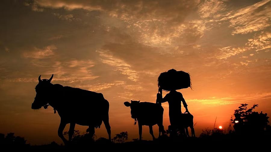 ಪಿಎಂ–ಕಿಸಾನ್‌: ₹22 ಸಾವಿರ ಕೋಟಿ ಬಿಡುಗಡೆ