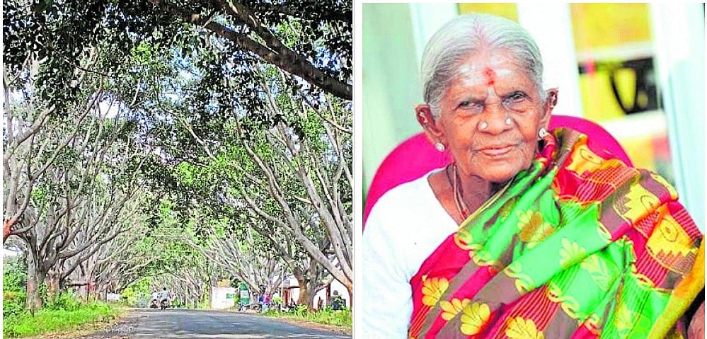 ಪರಿಸರ ಪರಿಚಾರಕರ ಸಾಧನೆ ಪರಿಚಯಿಸಲು QR ಕೋಡ್‌: ಅರಣ್ಯ ಇಲಾಖೆ ವಿಶೇಷ ಪ್ರಯತ್ನ
