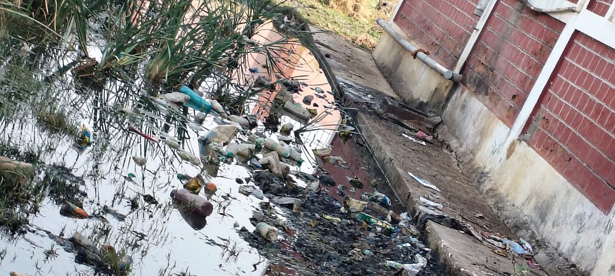 ಗೌರಿಬಿದನೂರು: ಹಂದಿಗಳ ಆವಾಸ ಸ್ಥಾನವಾದ ಹಾಸ್ಟೆಲ್‌ ಆವರಣ