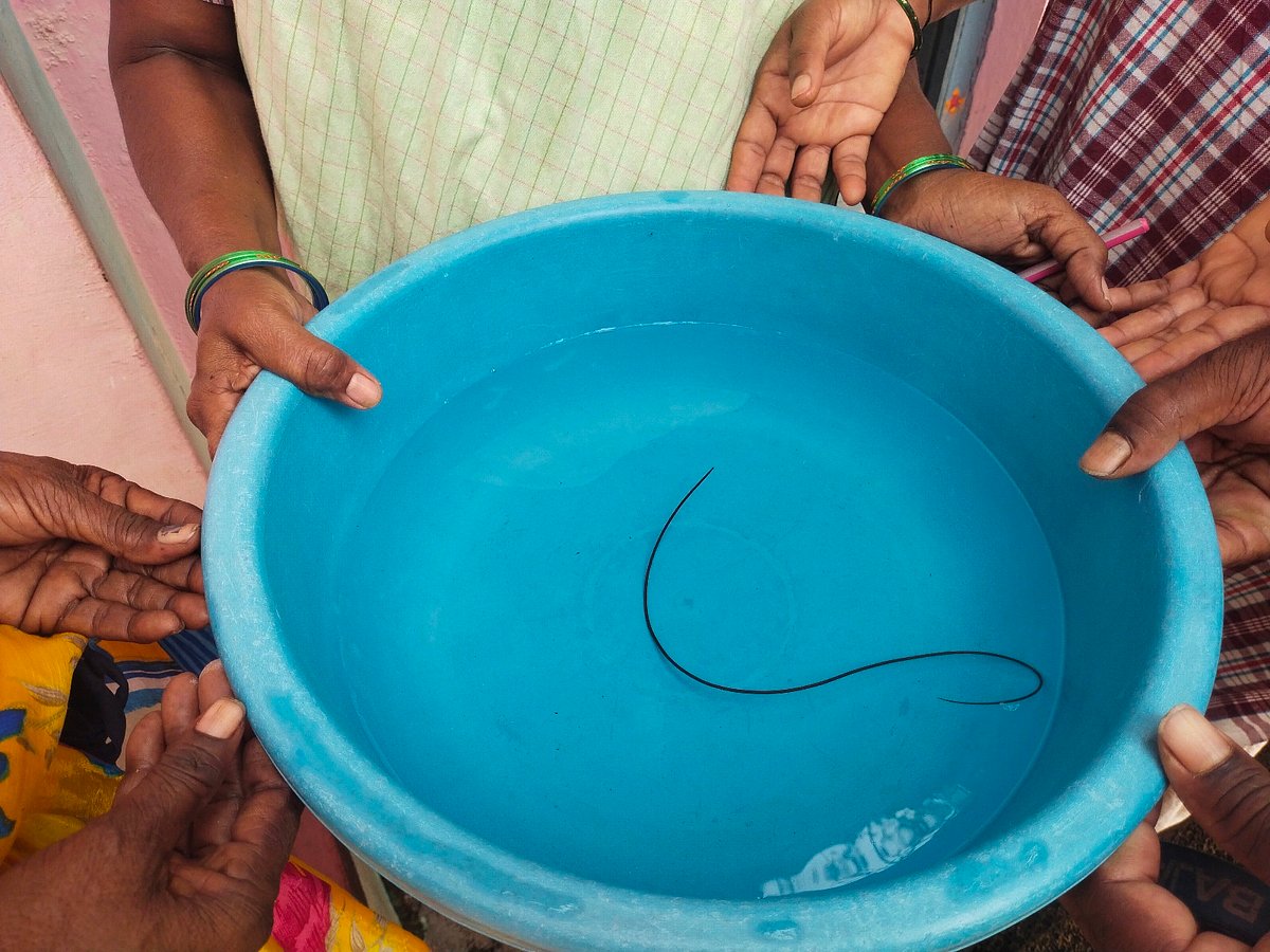 ಸಾಸ್ವೆಹಳ್ಳಿ: ವಿಚಿತ್ರ ಹುಳ ಪತ್ತೆ