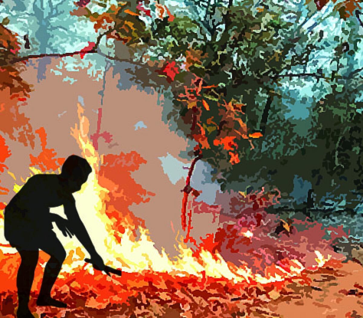 ವಿಶ್ಲೇಷಣೆ ‌| ಕಾಳ್ಗಿಚ್ಚು: ಸಂಕಟ ನೂರೆಂಟು