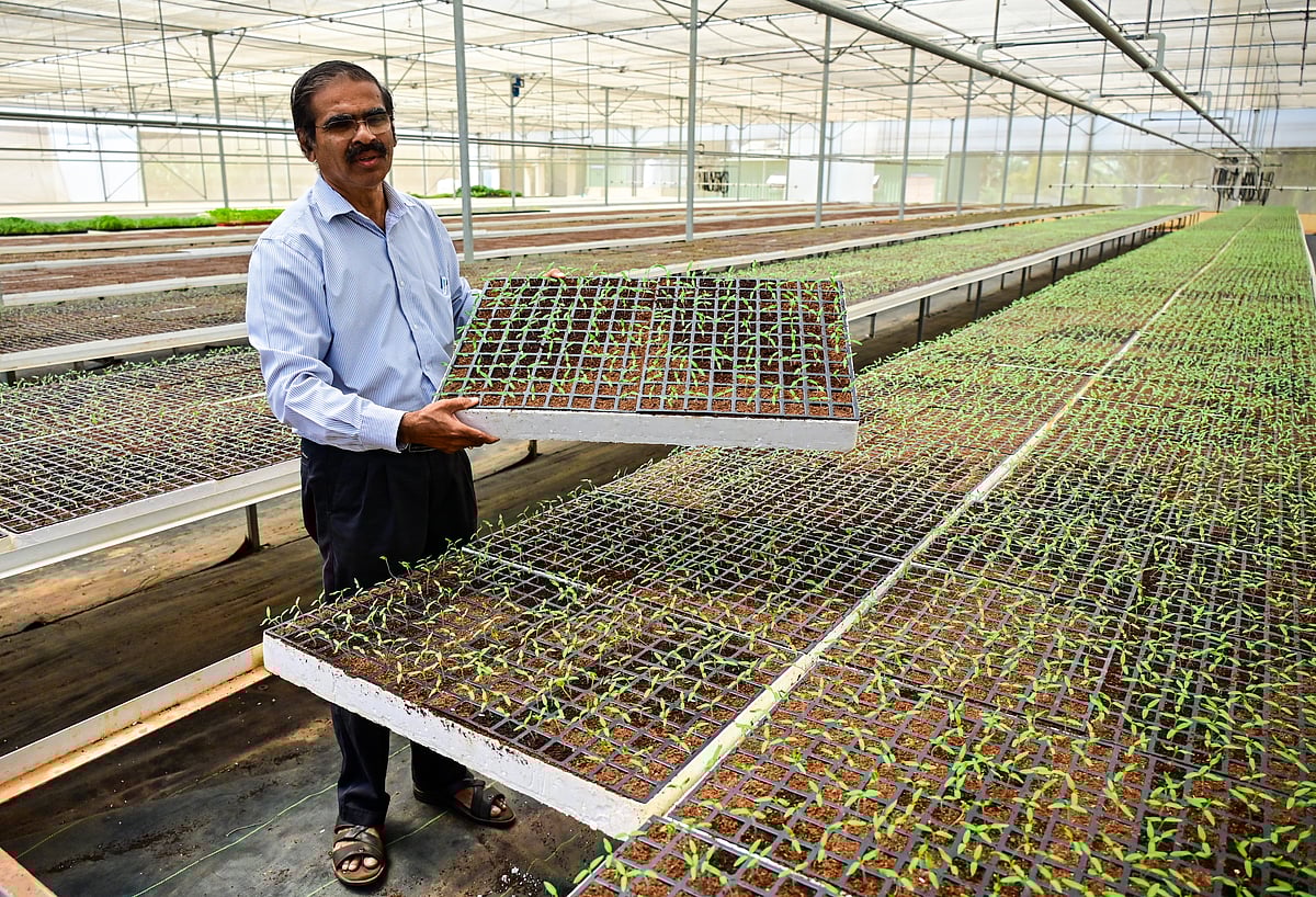 ಹೆಸರಘಟ್ಟ: 27ರಿಂದ ಅಂತರರಾಷ್ಟ್ರೀಯ ತೋಟಗಾರಿಕೆ ಮೇಳ