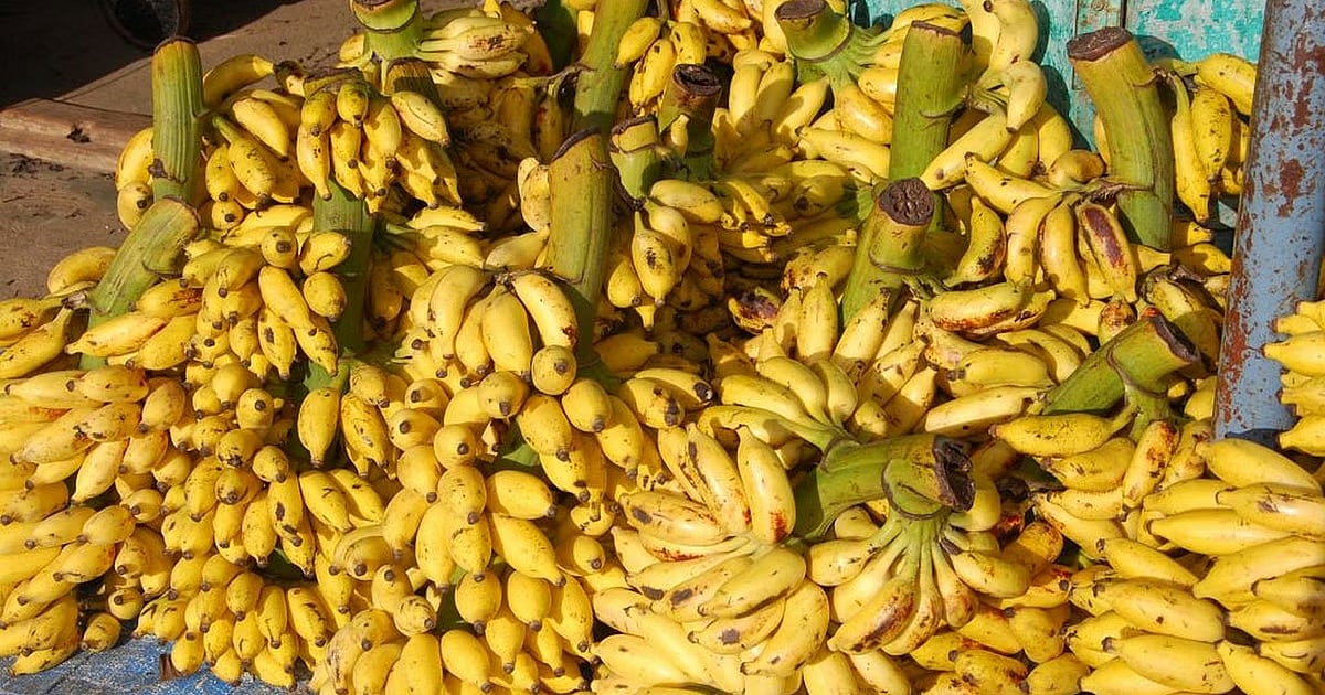 ಮಹಾಶಿವರಾತ್ರಿ: ₹100ರ ಗಡಿ ದಾಟಿದ ಬಾಳೆಹಣ್ಣು