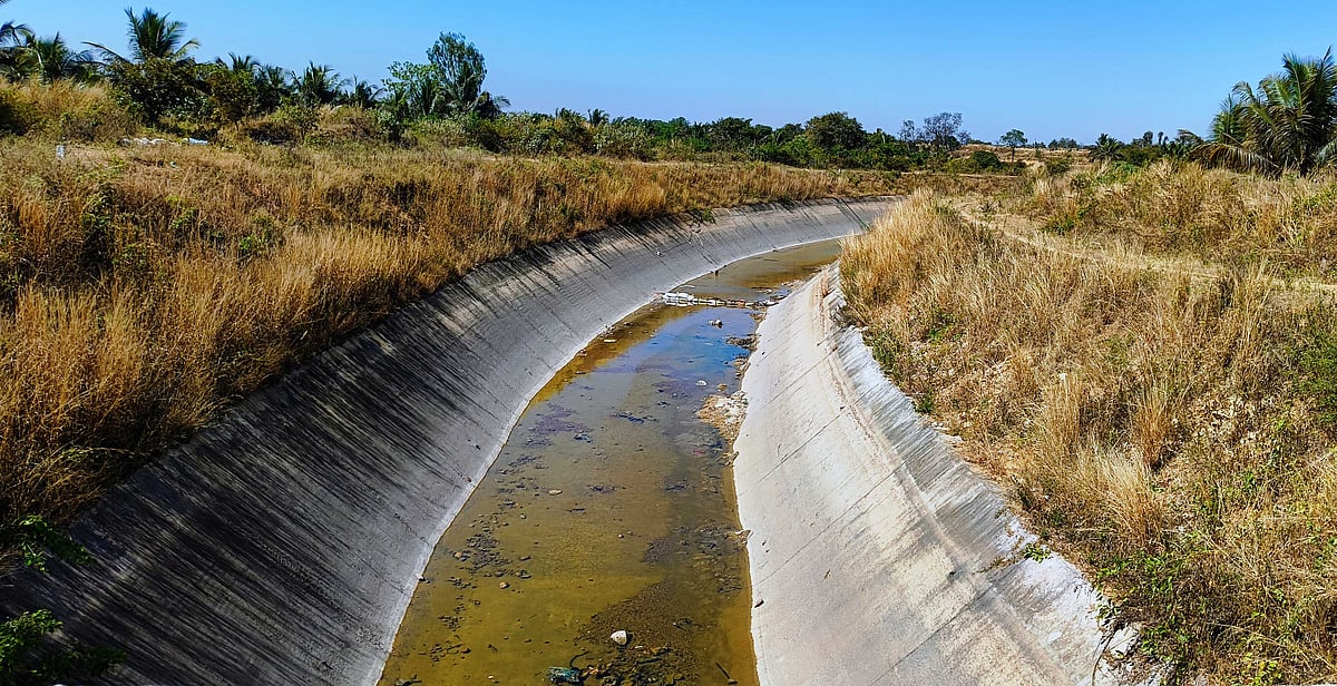 ಕೆ.ಆರ್. ಪೇಟೆ | ಬರಿದಾದ  ಕೆರೆ- ಕಟ್ಟೆ; ಬತ್ತಿದ ಅಂತರ್ಜಲ 