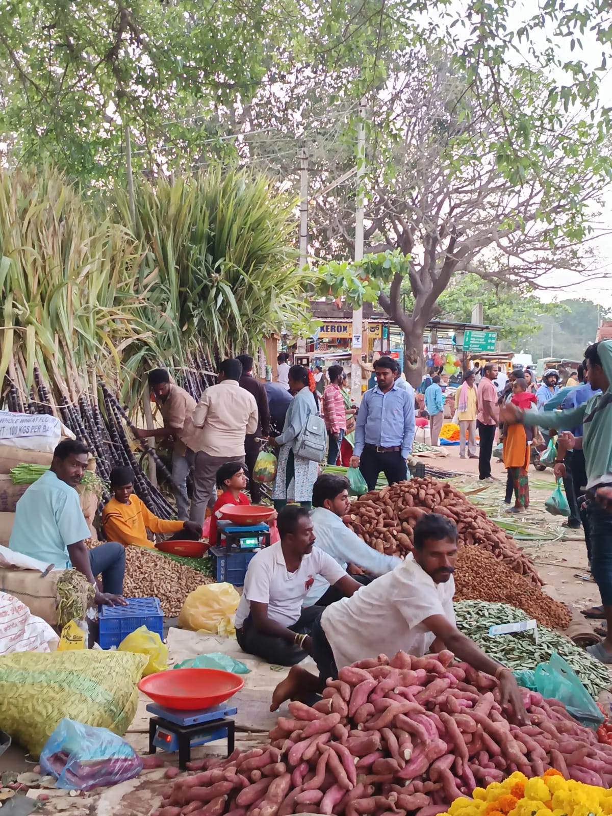 ಶಿವರಾತ್ರಿ ಹಬ್ಬದ ಪ್ರಯುಕ್ತ ವೇಮಗಲ್ ಪಟ್ಟಣದಲ್ಲಿ ಹಬ್ಬದ ಸಾಮಗ್ರಿಗಳ ಖರೀದಿ ಜೋರಾಗಿತ್ತು.