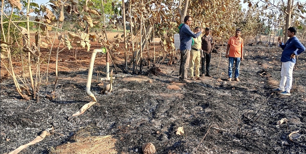 ಬೀದರ್  | ಕಬ್ಬಿನ ರವದಿಗೆ ಆಕಸ್ಮಿಕ ಬೆಂಕಿ: ಹಾನಿ
