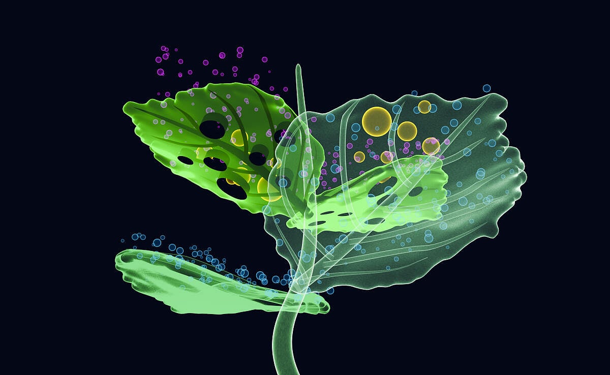 ಸ್ಪರ್ಧಾವಾಣಿ: ಚಕಿತಗೊಳಿಸುವ ಚೀನಾದ ನವ ಸಂಶೋಧನೆಗಳು!