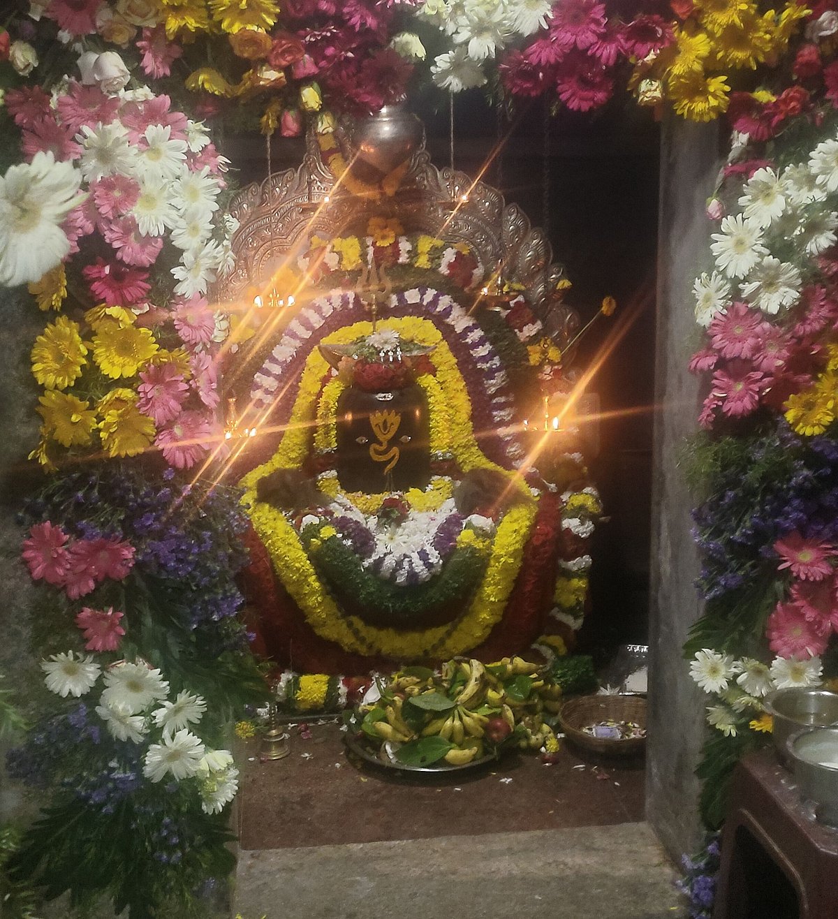 ಚನ್ನರಾಯಪಟ್ಟಣ: ಗಂಗವಾರ ಸೋಮೇಶ್ವರ ರಥೋತ್ಸವ