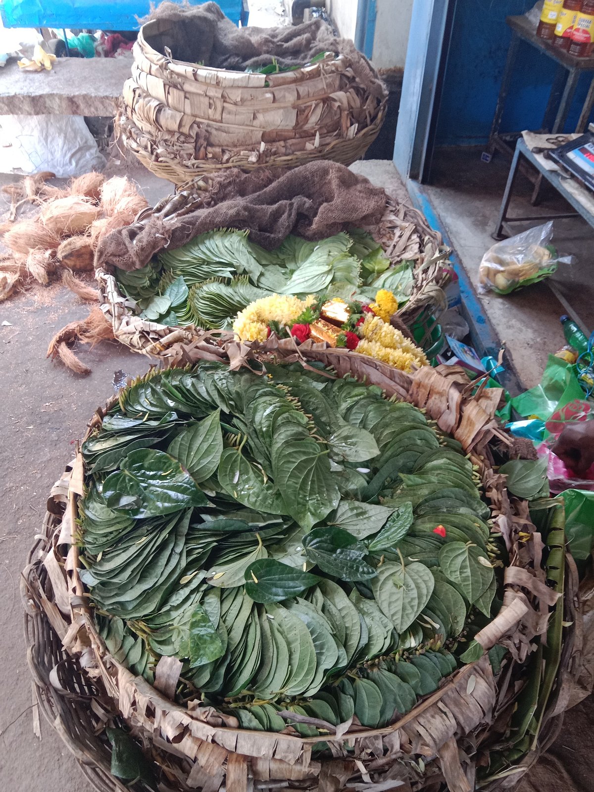 ದಾಬಸ್‌ಪೇಟೆ: ₹ 100ರ ಗಡಿ ದಾಟಿದ ವೀಳ್ಯದೆಲೆ ಬೆಲೆ