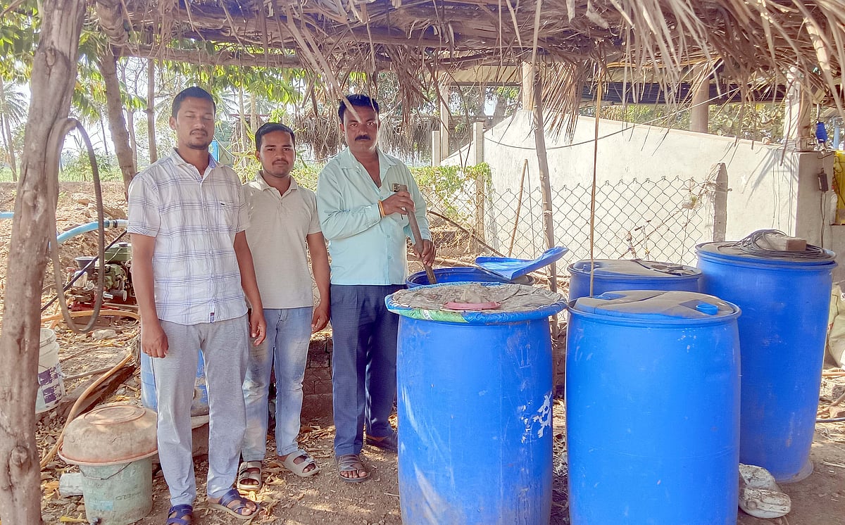 ತೇರದಾಳ: ಸಾವಯವ ಕೃಷಿಯಲ್ಲಿ ಸಮೃದ್ಧ ಬೆಳೆ 
