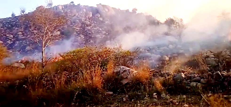 ಬಾಗೇಪಲ್ಲಿ | ಬೆಟ್ಟ ಗುಡ್ಡಕ್ಕೆ ಬೆಂಕಿ: ಪ್ರಾಣಿ, ಪಕ್ಷಿಗಳಿಗೆ ಸಂಕಟ