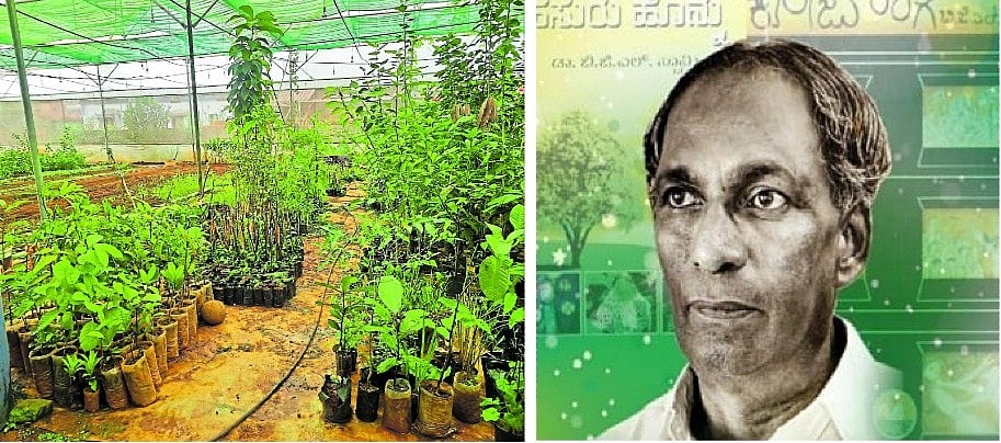 ಸಸ್ಯಗಳ ಸಂಗದಿ ಬಿಜಿಎಲ್ ಸ್ವಾಮಿ ಮತ್ತು ಶಿಷ್ಯರು