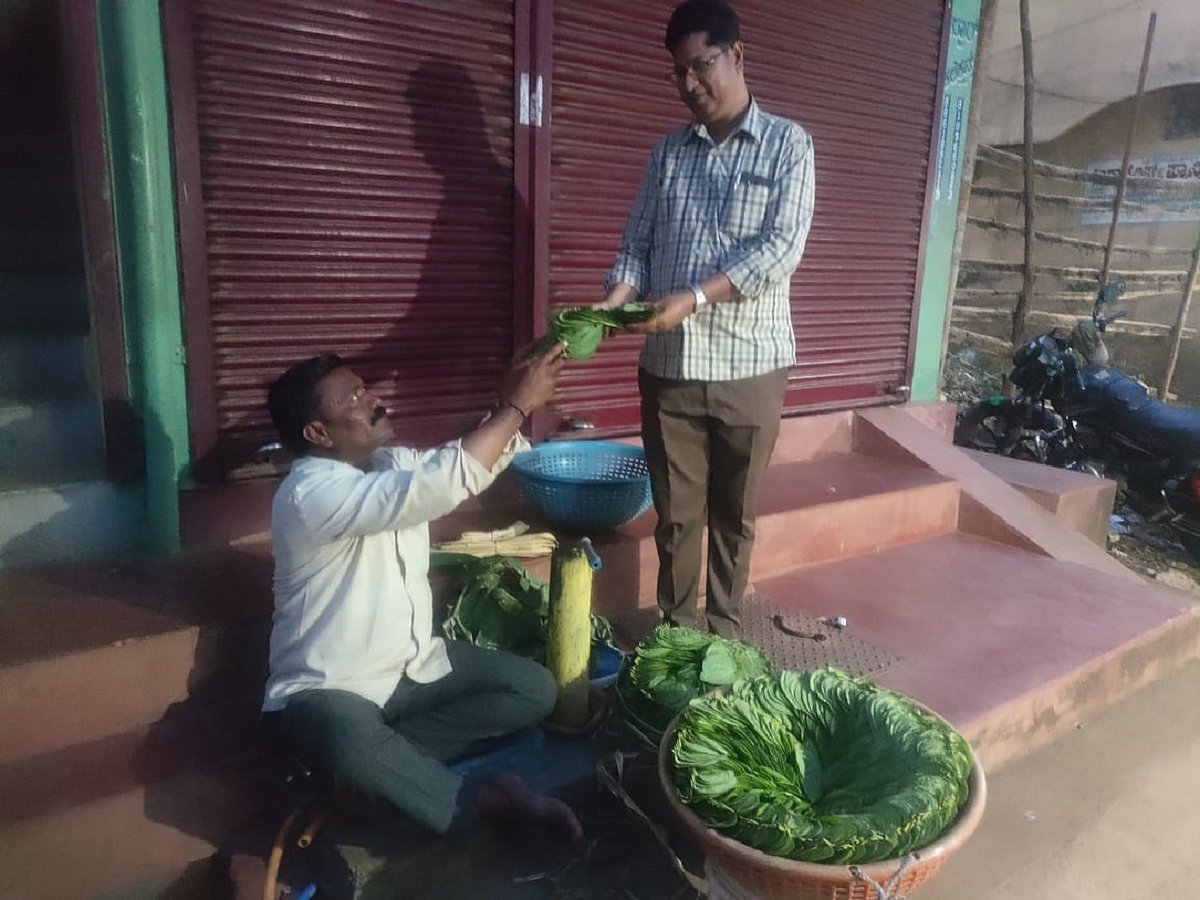 ಬಸವಾಪಟ್ಟಣ | ಗಗನಕ್ಕೇರಿದ ವೀಳ್ಯದೆಲೆ ದರ; ಇಳುವರಿ ಕುಂಠಿತ