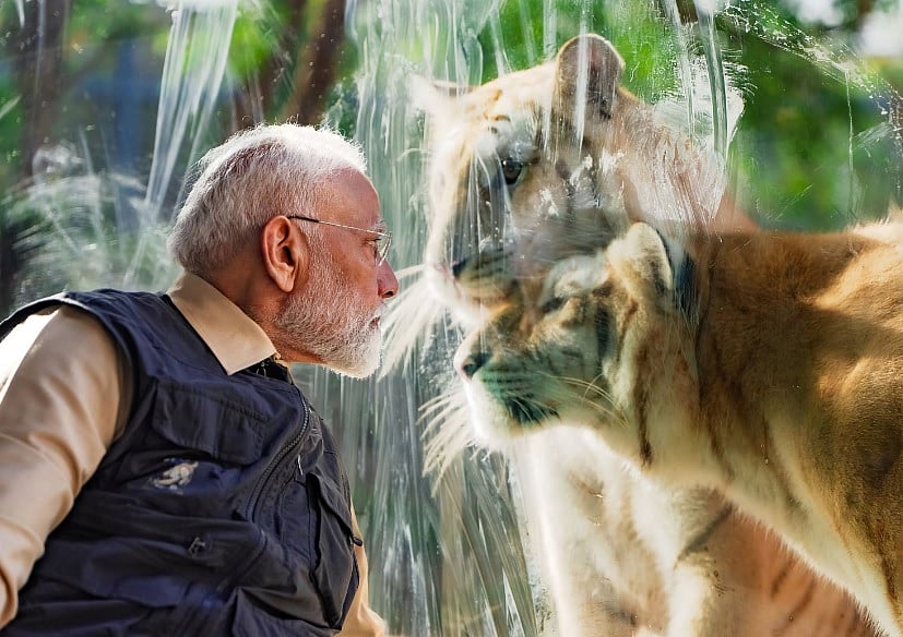 PHOTOS | ರಿಲಯನ್ಸ್‌ನ ‘ವಂತಾರಾ’ ವನ್ಯಜೀವಿ ಸಂರಕ್ಷಣೆ ಕೇಂದ್ರ ಉದ್ಘಾಟಿಸಿದ ಮೋದಿ