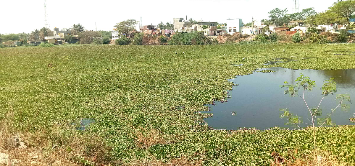 ಗುತ್ತಲ | ಅಧಿಕಾರಿಗಳ ನಿರ್ಲಕ್ಷ್ಯ: ಹಾಳಾದ ಜಲಮೂಲ