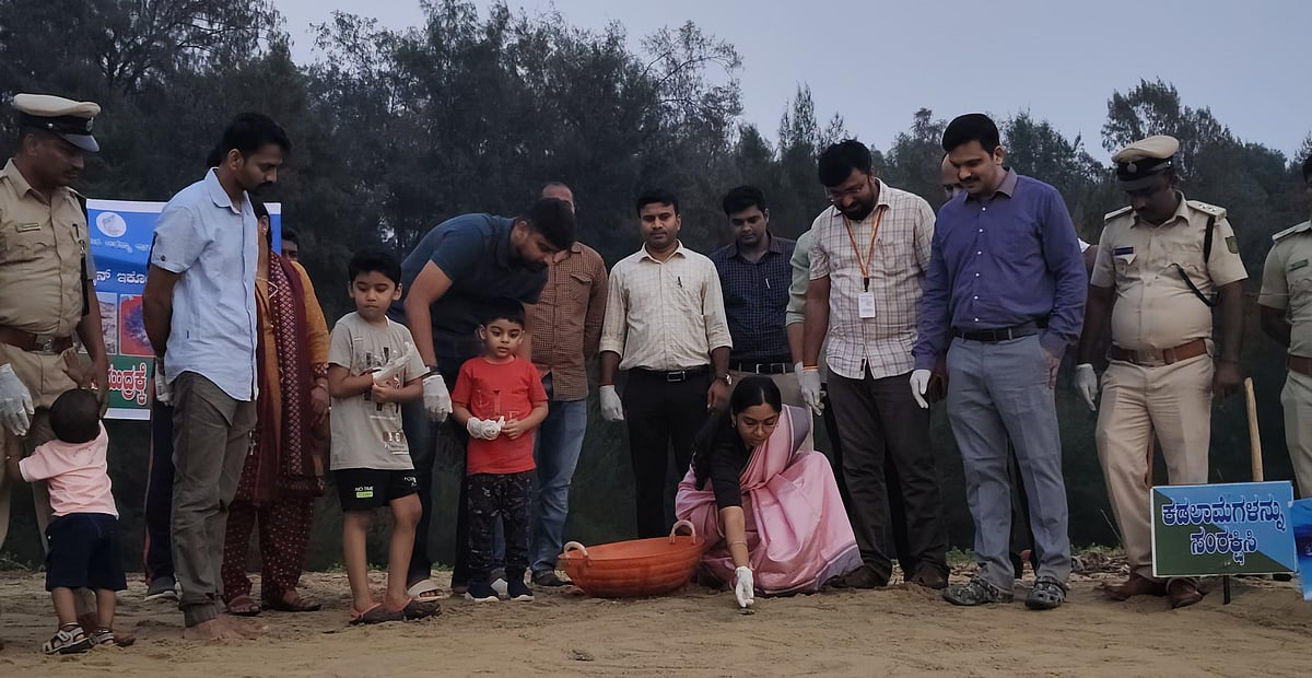 ಕಾರವಾರ: 89 ಕಡಲಾಮೆ ಮರಿಗಳು ಸಮುದ್ರಕ್ಕೆ