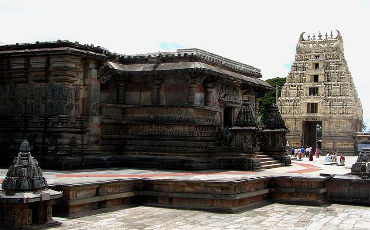 Budget 2025 | ಹಾಸನ: ಕೊನೆಗೂ ಆನೆಧಾಮಕ್ಕೆ ದೊರೆತ ಅನುದಾನ