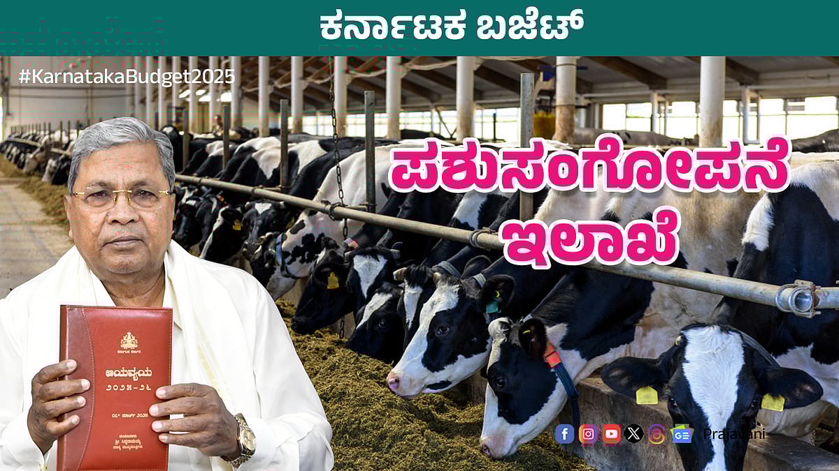 Karnataka Budget 2025 | ಪಶುಸಂಗೋಪನೆ: 50 ನೂತನ ಪಶು ಚಿಕಿತ್ಸಾಲಯ ಪ್ರಾರಂಭ