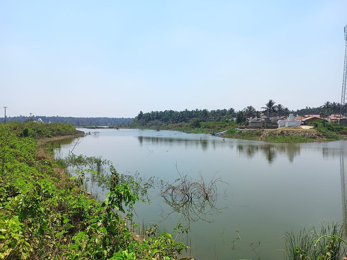 ಡಾ. ಎಸ್.ಎಲ್.ಭೈರಪ್ಪನವರ ಸೇವೆಗೆ ‘ಭಗೀರಥ ಸ್ವರೂಪಿ’ ಬಿರುದು ನೀಡಿ ಇಂದು ಸನ್ಮಾನ 