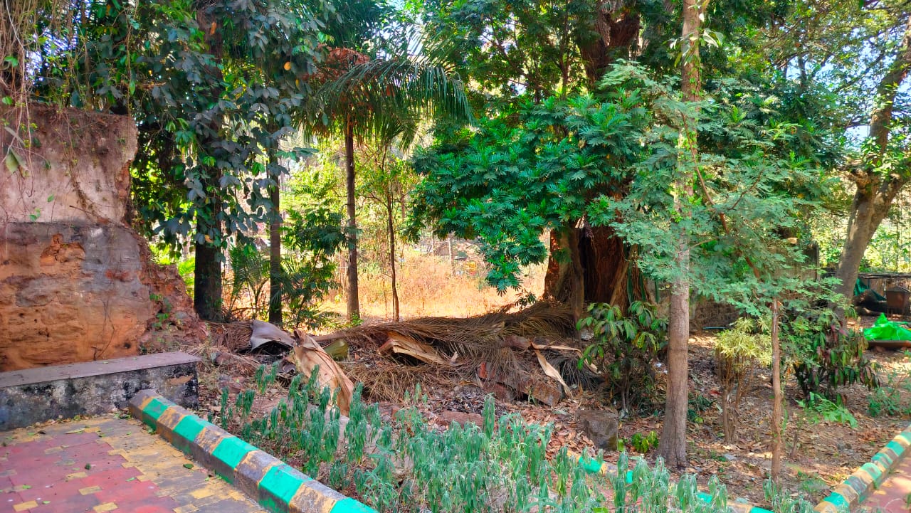ಉಪವನ ಸುತ್ತಲಿನ ಗೋಡೆಯು ನೆಲಸಮನಾಗಿರುವುದು
