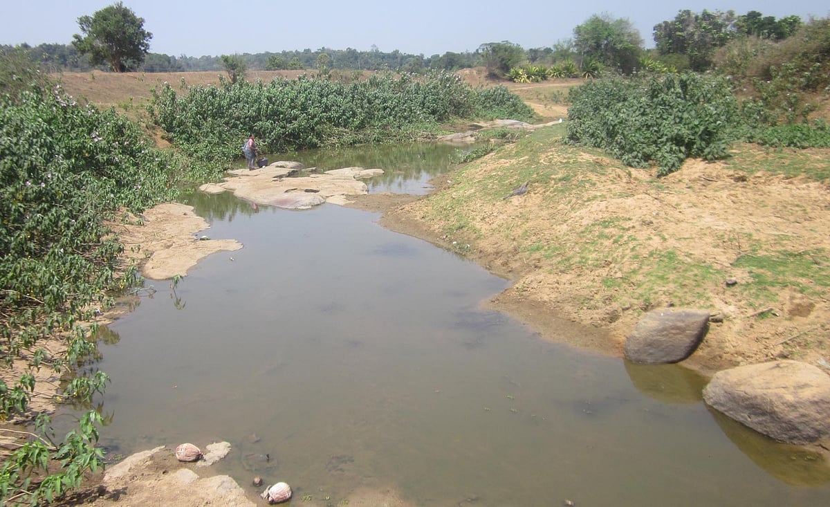 ಕೊಡಗು | ಹೆಚ್ಚಿದ ತಾಪಮಾನ: ಕ್ಷೀಣಿಸಿದ ತೊರೆತೋಡುಗಳ ನೀರು