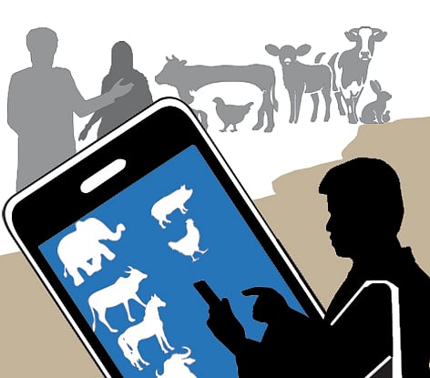 ಜಾನುವಾರು ಗಣತಿ ಮುಗಿದು 7 ತಿಂಗಳು ಕಳೆದರೂ ಗಣತಿದಾರರಿಗೆ ಇನ್ನೂ ತಲುಪಿಲ್ಲ ಗೌರವಧನ