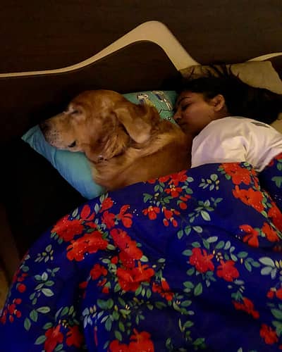 'ಸಿಂಬಾ' BEST BOY EVER.. ಏನು ಹೇಳಬೇಕೆಂದು ನನಗೆ ತಿಳಿದಿಲ್ಲ, ನನ್ನ ಸಿಂಬಾ ಗುಂಡು ಇಲ್ಲದ ಜಗತ್ತಿನಲ್ಲಿ ನಾವು ಬದುಕಬೇಕಾಗುತ್ತದೆ ಎಂದು ನಾನು ಎಂದಿಗೂ ಊಹಿಸಿರಲಿಲ್ಲ ಎಂದು ಸಪ್ತಮಿ ಪೋಸ್ಟ್‌ನಲ್ಲಿ ಬರೆದುಕೊಂಡದ್ದಾರೆ.