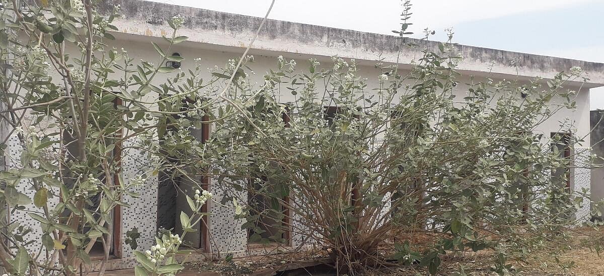 ಚಳ್ಳಕೆರೆ: ಅರ್ಧದಷ್ಟು ಜನರಿಗೆ ‘ಬಯಲೇ’ ಶೌಚಾಲಯ!