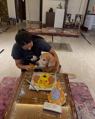 ಪ್ರೀತಿಯ  ಶ್ವಾನ 'ಸಿಂಬಾ' ಜತೆ  ನಟಿ ಸಪ್ತಮಿ ಗೌಡ