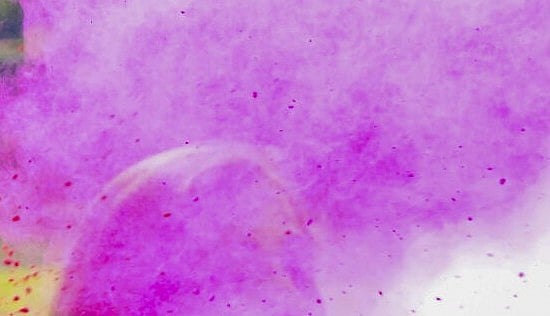 ಹೋಳಿ ಆಚರಣೆಗೆ ಹಲವು ನಿರ್ಬಂಧ: ಬಿಜೆಪಿ ಶಾಸಕ ಕಿಡಿ