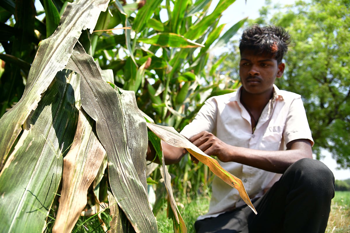 ಕೊಪ್ಪಳ: ಕಾರ್ಖಾನೆಗಳ ದೂಳಿಗೆ ಕಪ್ಪಾದ ಜನರ ಬದುಕು