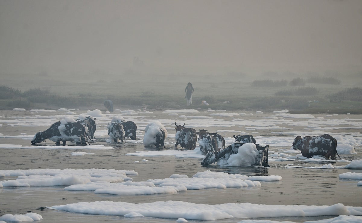 ಯಮುನಾ ನೀರು | ಗುಣಮಟ್ಟ ಇಲ್ಲ: ಸಂಸದೀಯ ಸಮಿತಿ