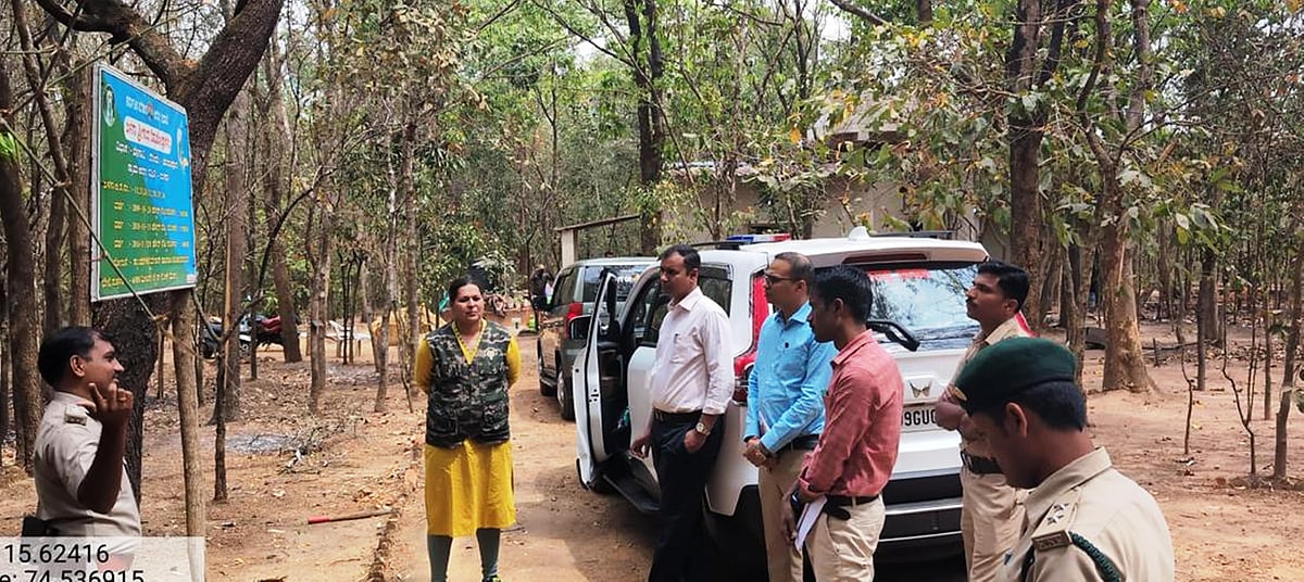 ಮಹಾರಾಷ್ಟ್ರದ ಕಾಡಾನೆ ಸೆರೆಗೆ ಕರ್ನಾಟಕದ ಅರಣ್ಯ ಇಲಾಖೆಗೆ ಮೊರೆ 