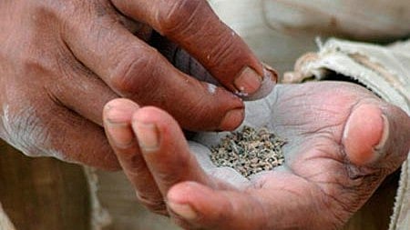 ತಂಬಾಕು ಹಂಚಿಕೆಯಲ್ಲಿ ಉಂಟಾದ ಜಗಳ: ವ್ಯಕ್ತಿಯನ್ನೇ ಕೊಂದ ಭಿಕ್ಷುಕ