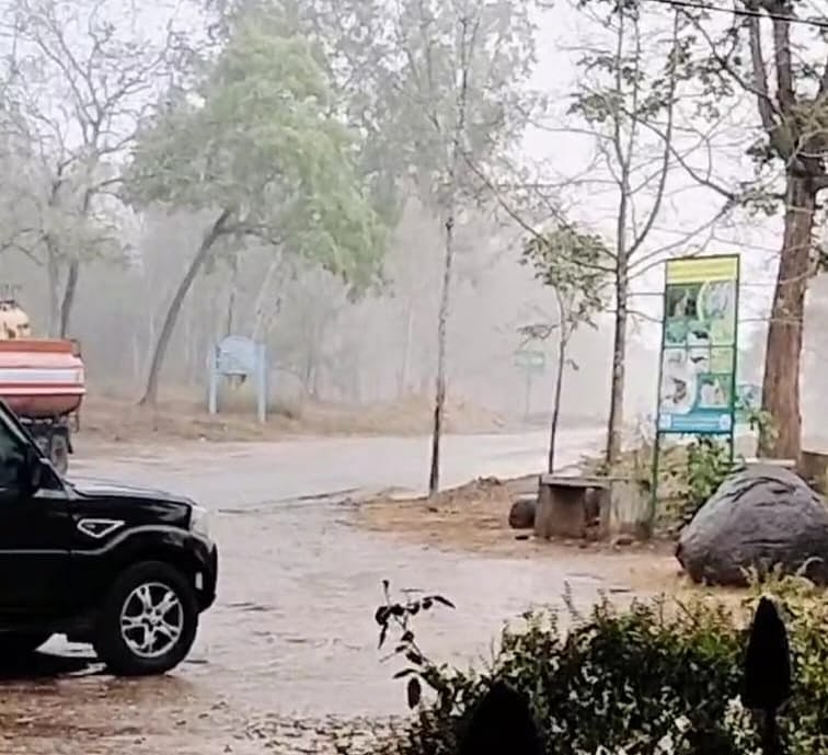 ನಾಗರಹೊಳೆ ಅಭಯಾರಣ್ಯದಲ್ಲಿ ಉತ್ತಮ ಮಳೆ