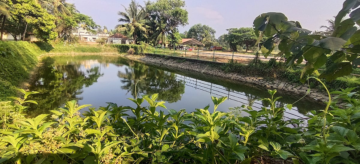 ಮಂಗಳೂರು: ಕುಂರ್ದೋಡಿ ಕೆರೆಗೆ ಬೇಕಿದೆ ಕಾಯಕಲ್ಪ
